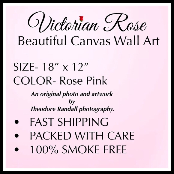 BEAUTIFUL FLORAL BOHO ROSE WALL ART DECOR A2C - Picture 7 of 11